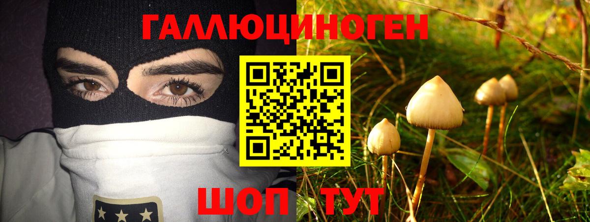 Чернушка  Галлюциногенные грибы Psilocybine cubensis  Псилоцибиновые грибы MAGIC MUSHROOMS  Вход с VPN 