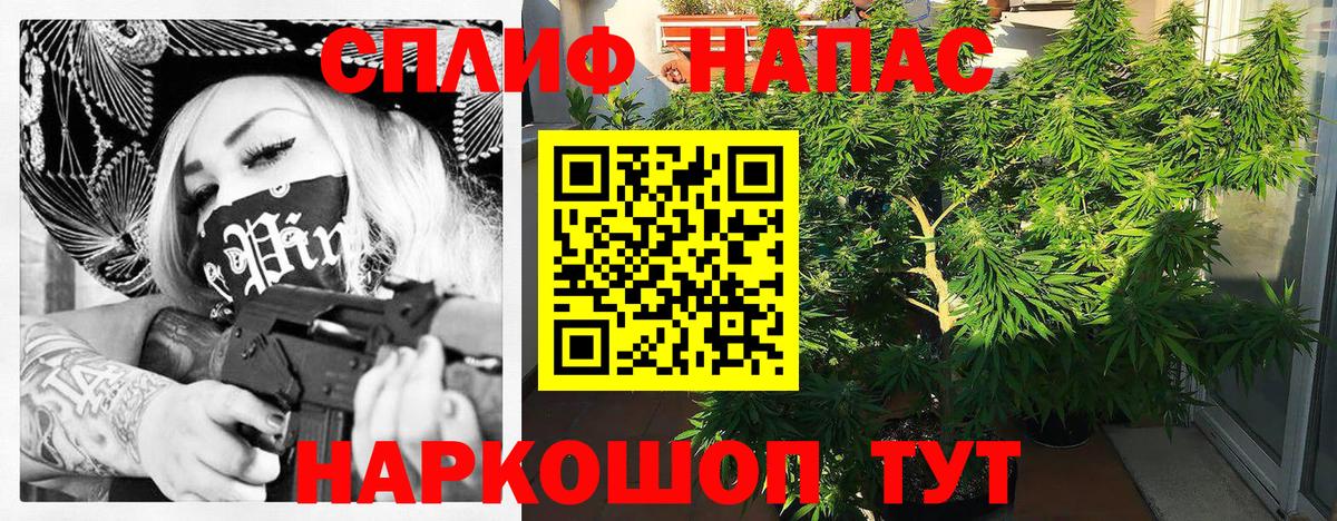 Канабис SATIVA & INDICA  Марихуана план  Чернушка  Вход с VPN  Конопля Amnesia  Бошки марихуана THC 21% 